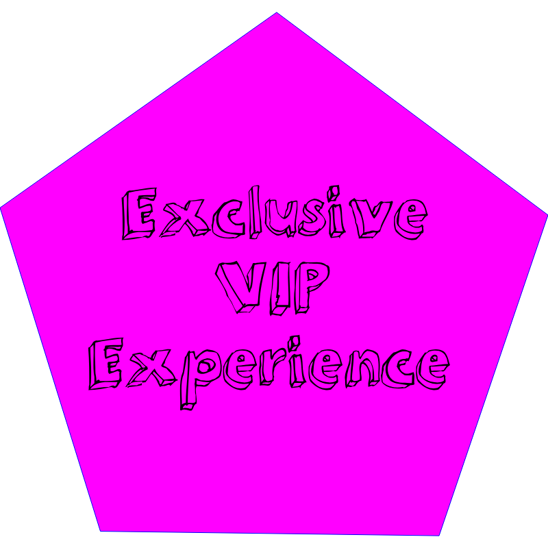 Exclusive VIP Experience 4